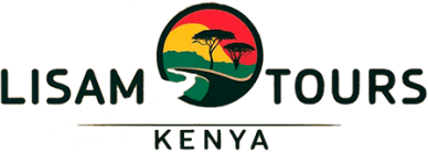 Lisam Tours logo