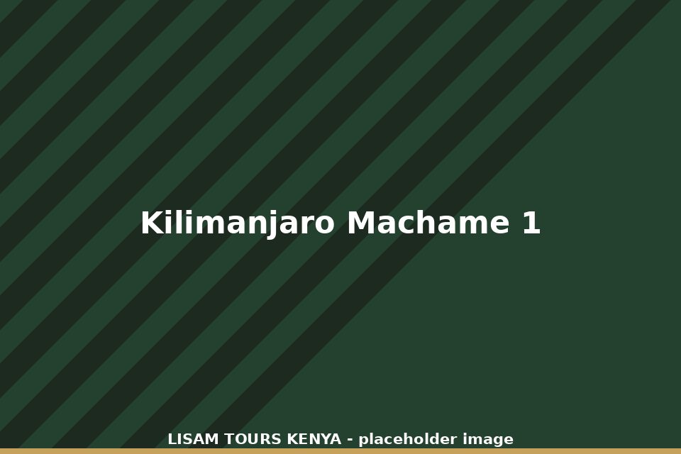 Trekkers on Mount Kilimanjaro